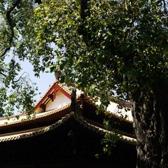 P1110798