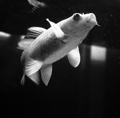 P1110888