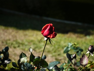 L1120200