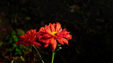 L1210845