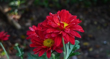 L1210846