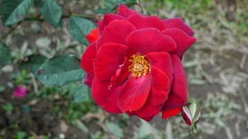 L1210881