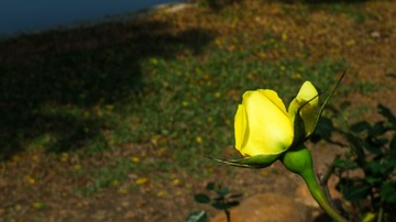L1210896