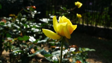 L1210898