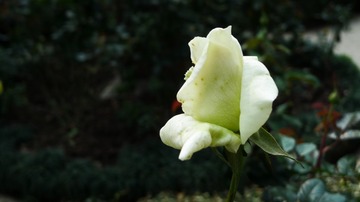 L1210901