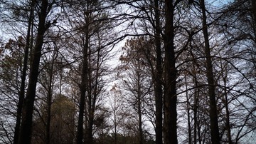L1210930