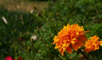 L1210937