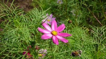 L1030607