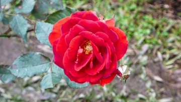 L1030697