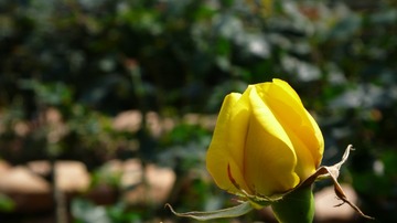 L1030728