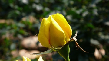 L1030729
