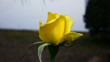 L1030734
