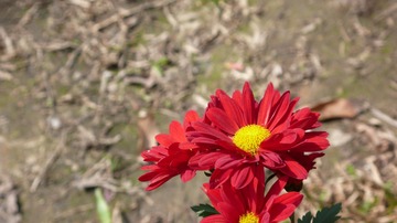 L1030749