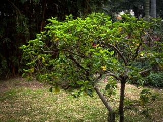 L1020521