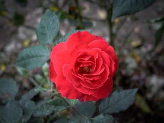 L1020588