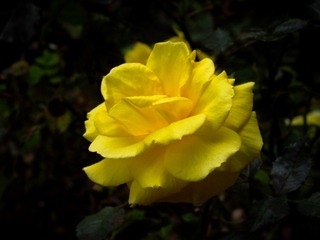 L1020590