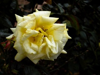 L1020598