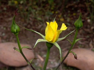 L1020603