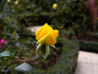 L1020605