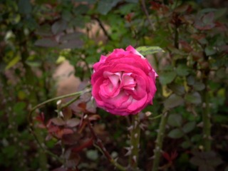 L1020608