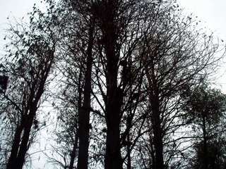 L1020609