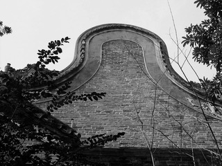 L1010485a.jpg