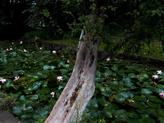 L1010242.jpg
