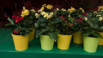 L1170061.jpg