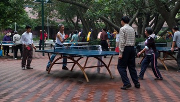 L1170159.jpg