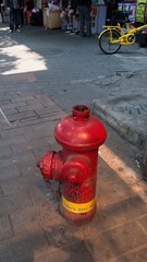 L1100136.jpg