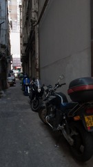 L1100232.jpg