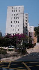L1100236.jpg