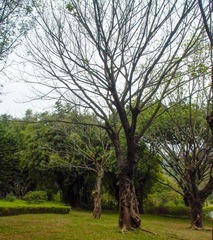 L1010344