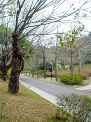 L1010345