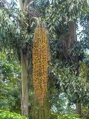 L1010349