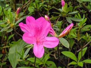 L1010350