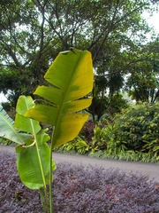 L1010356