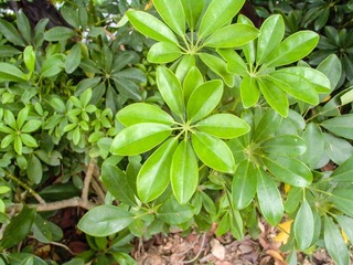 L1010365
