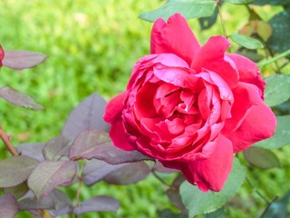 L1010406