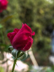 L1010408