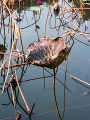 L1010425