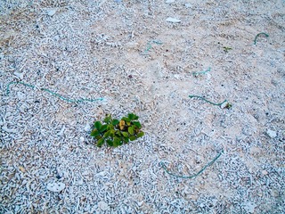 L1060456_