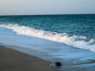 L1060478_