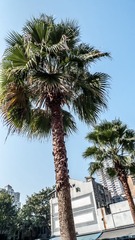 L1170887