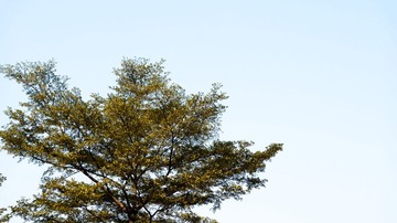 L1170842
