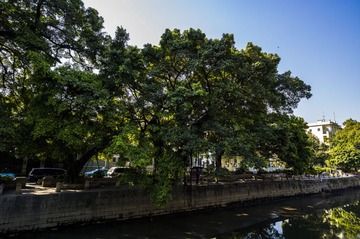 L1004601