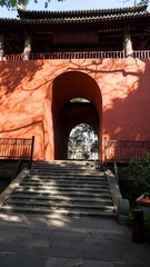 L1180156