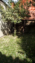 L1180159