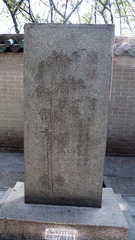 L1180175