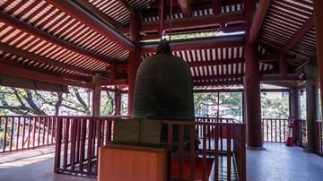L1180181